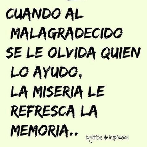 JUANA MACEDO, Frases, Reflexiones y algo más: Cuando al mal agradecido... Funny Day Quotes, Mahatma Gandhi, Reality Quotes, Wisdom Quotes, Life Lessons, Quote Of The Day, Best Quotes, Life Quotes, Inspirational Quotes