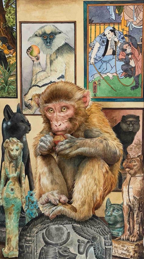 Jane Stapleford | Monkeys Favourite corner of the Professors Study Monkey Art, Kids Art Class, Wildlife Art, Painting Illustration, Animal Illustration, Christmas Cats, Bird Art, Monkeys, Traditional Art