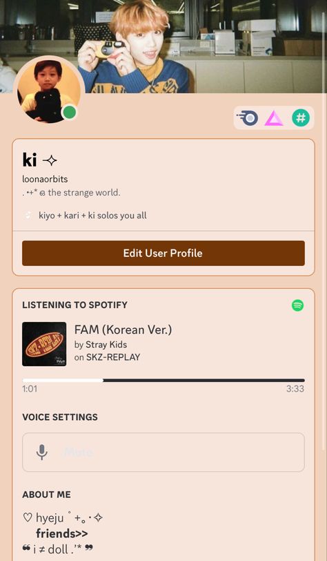 kpop discord layout lee felix Discord Kpop Layout, Discord Layout, Kpop Layout, Kids Inspo, Lee Felix, Weird World, Layout Ideas, User Profile, The Voice