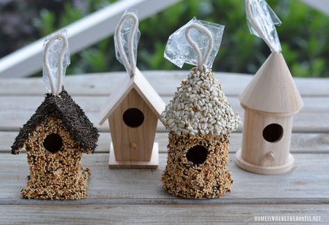 Winter Fun DIY: Create a Birdseed Cottage Feeder – Home is Where the Boat Is Christmas Bird Houses Ideas Diy, Birdseed Feeders, Edible Birdhouse, Outdoor Xmas Tree, Backyard Christmas, Bird Feeder Craft, Bird Seed Ornaments, Bird Seed Feeders, Homemade Bird Feeders