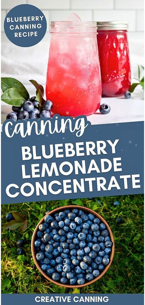 Discover Lemonade Concentrate Recipes for Canning with canning blueberry lemonade concentrate. This simple canning recipe uses only 3 ingredients to preserve the delicious taste of blueberries. Just add water and ice for a refreshing drink any time. Perfect for hot summer days! Find more canning fruit recipes, preserving fruit in jars, and fruit preserves at creativecanning.com. Blueberry Canning, Fruit In Jars, Simple Canning, Lemonade Concentrate Recipe, Canning Fruit Recipes, Canning Apple Pie Filling, Preserving Fruit, Blueberry Water, Blueberry Jelly