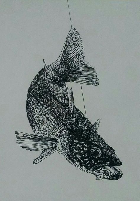 Walleye Art, Drawing Fish, Fish Sketch, Fishing Art, Laser Ideas, Walleye Fishing, Art Study, Color Pencil Art, Work Inspiration