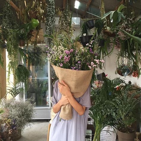 Potted Plants, Florist, A Woman, Plants, Flowers