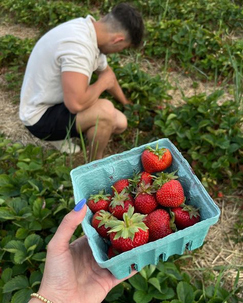 Garden Date, Farm Date, Birthday Morning, Soft Launch, Strawberry Farm, Strawberry Picking, Fruit Picking, Cute Couples Cuddling, Cute Muslim Couples