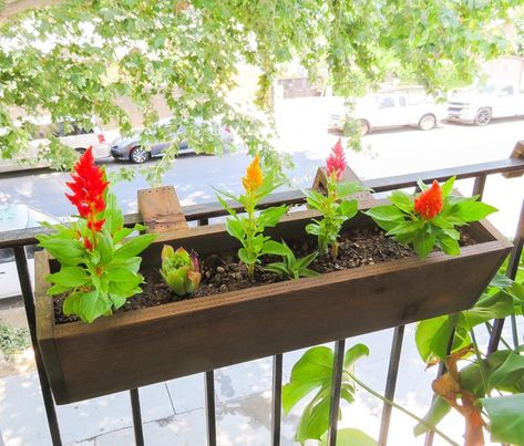 Balcony Rail Planter Box Dark Stain | Etsy Balcony Planter Boxes, Outdoor Flower Boxes, Balcony Railing Planters, Garden Box Plans, Curved Railing, Outdoor Planter Boxes, Balcony Planters, Tiered Planter, Country Garden Decor