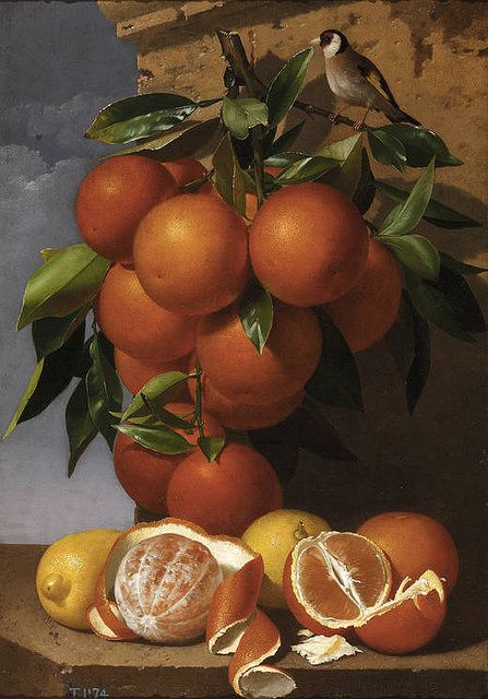 Antonio Mensaque y Alvarado - Still life of Oranges via Irina.  Indigo Dreams Still Life Fruit, Still Life Photos, Beautiful Fruits, Still Life Oil Painting, Fruit Painting, Orange Aesthetic, Oranges And Lemons, Painting Still Life, Still Life Art