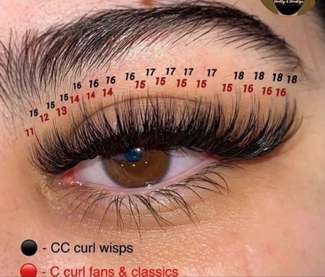 17mm Lash Extensions Mapping, Different Eyelash Extensions Styles, 18mm Lash Extensions Map, Different Styles Of Lash Extensions, Long Lash Extensions Mapping, Eyelash Styles Extensions, Lash Extension Lengths, Cat Eye Hybrid Lash Extensions Map, Whispy Lashes Extensions Map