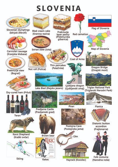 Slovene Language, Estonian Culture, Estonia Souvenirs, Slovenia Culture, Map Of Slovenia, Slovenia Flag, Country Facts, Travel Infographic, Kids Around The World