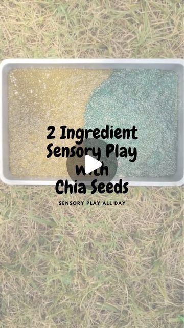 Hannah Sylcox, COTA on Instagram: "✨ 2 Ingredient Chia Slime Sensory Play ✨

Here is a SUPER simple and really fun sensory play activity you can throw together quickly this summer to do with your kids. My 1 & 3 year old kids loved this one (especially my 1 year old!) It gets messy, so I'd recommend playing outside, but it cleans up really easily as well! 

This activity engages the tactile sensory system as well as being a great fine motor activity. 

This is what you'll need:
1/4 C chia seeds (I doubled the recipe by doing two containers of 1/4 cup chia and added food coloring)
1 3/4 C water 
Food coloring (totally optional)
Add to container, stir, let set in fridge for 2 hours, PLAY!

#sensoryplay #sensorybinideas #messysensoryplay #messyplayideas #tactilesensoryactivity" Chia Seed Sensory Play, Chia Seed Sensory Bin, Chia Slime, Chia Slime Sensory Bin, Easy Clean Up Sensory Bin, Taste Safe Sensory Play One Year Old, Sensory Rice Food Coloring, Tactile Sensory Activities, Tactile Sensory