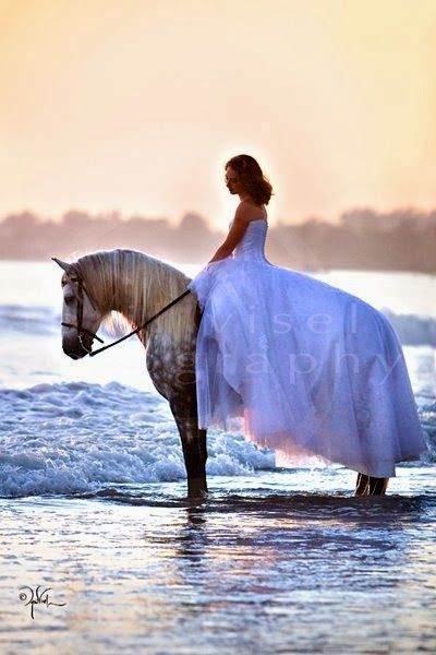 Horse Photoshoot, Riding A Horse, Future Ideas, Horse Photography, Horse Love, 인물 사진, Wedding Pics, A Horse, Beautiful Lights