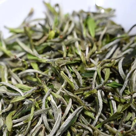 #whitetea Procured from the core producing area of white tea: Fuding City, Fujian Province, it is graded as White Peony. It is typical to have one bud and two leaves. The production of white peony tea has only undergone simple withering and drying processes, retaining its pure and fresh taste. We provide two grades of white tea. (1) The original leaves of the superior grade are picked immediately after picking the white hair silver needle, which is closer to the white hair silver needle.... Silver Needle Tea, Hair Silver, White Peony, White Peonies, White Tea, Silver Hair, White Hair, Peonies, Tea