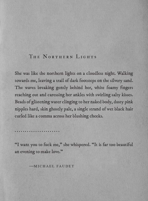 The Northern Lights Michael Faudet Deep Love Poems, Michael Faudet, Silly Love Songs, L Quotes, Light Quotes, Artist Quotes, Soul On Fire, The Northern Lights, Poetry Words