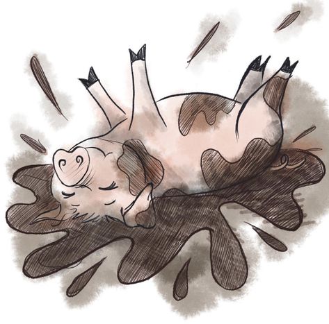 Pig In Mud Drawing, Pig Sketch Easy, Pig Sketches, Pig Drawing Simple, Mud Drawing, Cute Pig Drawing, Pig Doodle, Pig Drawing Easy, Pig Sketch