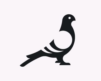 Pigeon Pegion Bird Tattoo, Pigeon Tattoo, Pigeon Logo, Typography Shirt Design, Goat Logo, Pigeon Breeds, Circle Logo Design, Identity Inspiration, Bird Logos