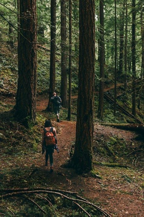 Walking In The Woods, Camping Sauvage, Mountain Camping, Hiking Photography, Camping Aesthetic, Hiking Aesthetic, Adventure Aesthetic, Trik Fotografi, Salmon Recipes