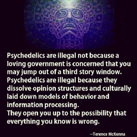 (1) Some Truth - Gallery | eBaum's World Terence Mckenna, Information Processing, Medicinal Plants, What’s Going On, Spiritual Awakening, Words Of Wisdom, Government, Medicine, Life Quotes