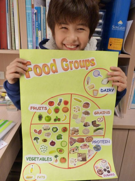 Food Groups Preschool, Food Groups Chart, Food Groups For Kids, Healthy Food Activities For Preschool, Healthy Food Activities, Five Food Groups, Food Collage, Nutrition Activities, Healthy Plate