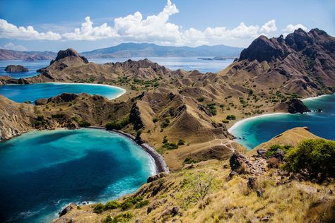 I saw my friend’s profile picture on his Whatsapp one day. He was standing on top of somewhere with a background of something like an ocean that are cut by a land across them. It was a unique view which later on I found out that the photo was taken at Padar Island. Padar Island is one of the … 2 Weeks In Thailand, Indonesia Tourism, Coconut Beach, Labuan Bajo, Komodo National Park, Puerto Princesa, Komodo Island, Gili Island, Labuan