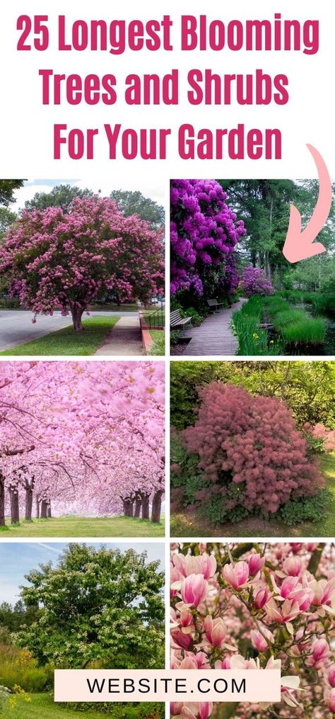 Make your garden more colorful by picking some vibrant flowering trees and shrubs, with short descriptions and photos on each listed tree. Check it out now! Flowering Trees Landscaping, Flowering Bushes And Shrubs, Driveway Trees, Landscape Bushes, Lake Plants, Flowering Crabapple, Shrubs For Landscaping, Pink Flowering Trees, Trees For Front Yard