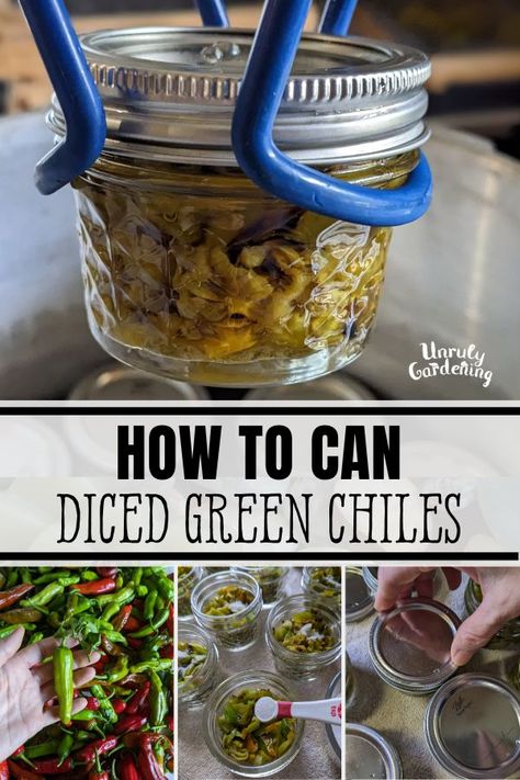 Canning Diced Green Chiles (& Other Peppers) - Unruly Gardening Canning Green Chiles, What To Do With Green Chili Peppers, How To Can Green Chilies, How To Can Green Chili Peppers, Canning Green Chilies, Canned Chili Peppers, Diced Green Chiles Canning, Green Chili Canning Recipe, Hatch Chili Canning Recipes