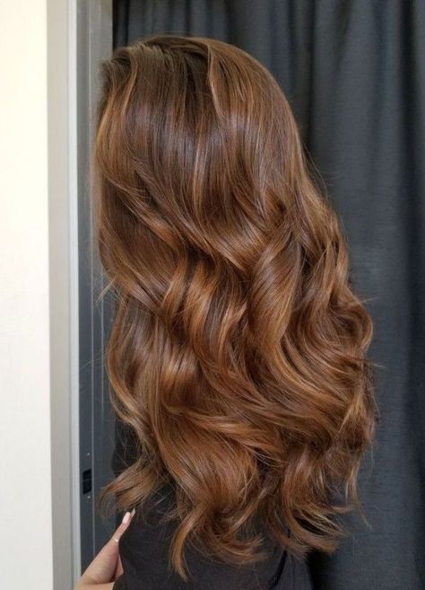 Carnal Hair Color, Golden Brown Short Hair, Brown Bronze Hair, Warm Brown Curly Hair, Copper Babylights, Chestnut Balayage, Warm Hair Color, Medium Length Wavy Hair, Bronze Hair