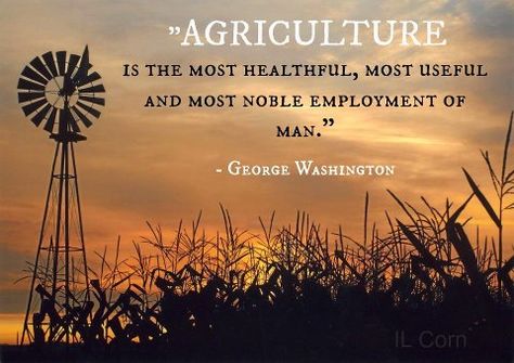 most noble profession…indeed! Ag Quote, Agriculture Quotes, Farm Life Quotes, Farmer Quotes, Farm Quotes, Summer Beach Quotes, Agriculture Education, Agriculture Farming, Country Quotes