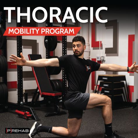 Mid Back Exercises, Rhomboid Stretch, Thoracic Spine Mobility, Spine Mobility, Back Strengthening Exercises, Upper Back Exercises, Mid Back Pain, Barbell Deadlift, Stability Exercises