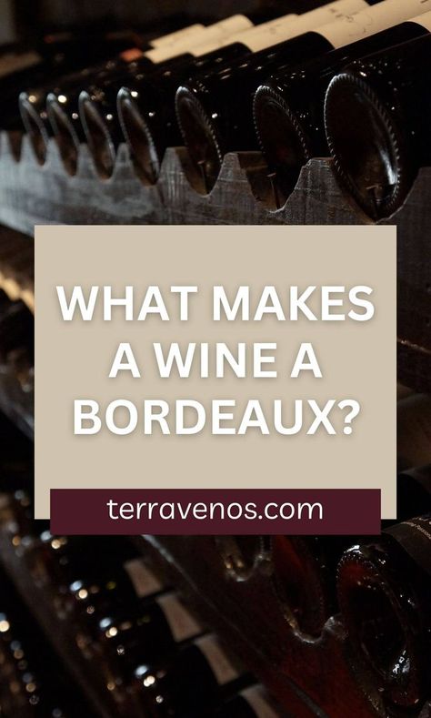 You've heard the word "Bordeaux", but what, exactly is it? Here's a quick guide to the world of Bordeaux and what to look for in your wine shop. #wine #Bordeaux #winelover Bordeaux Wine, Bordeaux France, Wine Shop, Quick Guide, Cabernet Sauvignon, Malbec, Wine Cellar, Merlot, White Rose