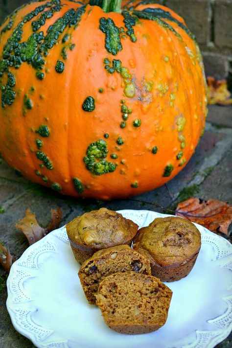 Soft and Caky Pumpkin Muffins with Dates and Nuts Muffins With Dates, Tea For Breakfast, Date Muffins, Afternoon Snack, Pumpkin Muffins, Tasty Treats, Afternoon Snacks, Yummy Treats, Nuts