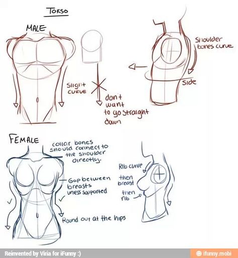 Anatomy Tutorial, Body Sketches, Body Drawing Tutorial, Human Figure Drawing, Body Reference Drawing, Drawing Faces, Anatomy Drawing, Figure Drawing Reference, Body Drawing