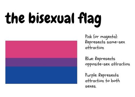 Bisexual Meaning, Flag Meanings, Bisexual Aesthetic, Lgbt Humor, Bi Flag, Bisexual Flag, Lesbian Flag, To My Parents, Love Ya