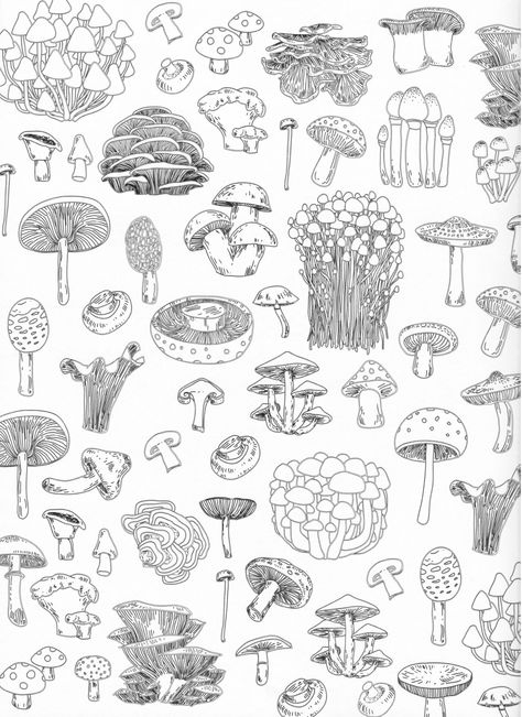 Forest Mushrooms Drawing, Delicate Mushroom Tattoo, Nature Doodles Aesthetic, Forest Plants Drawing, Mini Mushroom Tattoo, Nature Doodles, Mushroom Sketch, Nature Doodle, Mushroom Drawings