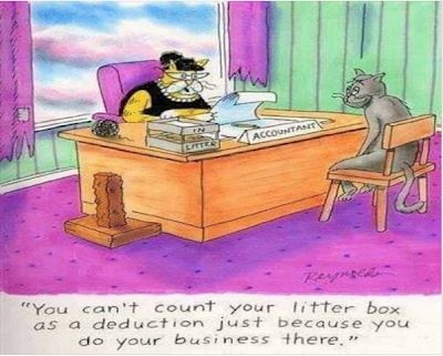 Tax Season Humor, Tax Humor, Taxes Humor, Accounting Humor, Cat Jokes, Cat Comics, Animal Hospital, Cartoon Jokes, E Card