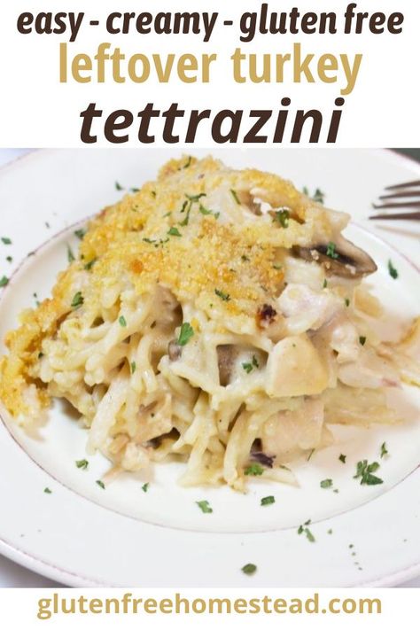 Easy healthy gluten free turkey tetrazzini casserole is the best way to use up turkey leftovers. You'll love the creamy mushroom sauce and the crunchy topping made with panko breadcrumbs and parmesan cheese. It's so good. This can also be made with leftover chicken. Enjoy! from Barbara at Gluten Free Homestead #glutenfree #turkeyleftovers #thanksgivingleftovers #glutenfreesauce #recipes Gluten Free Turkey Tetrazzini Recipe, Leftover Turkey Recipes Gluten Free Dairy Free, Gluten Free Turkey Recipes, Leftover Turkey Recipes Gluten Free, Gluten Free Turkey Tetrazzini, Turkey Tetrazzini Recipe, Turkey Casserole Recipes Leftover, Butter Cream Sauce, Turkey Casserole Recipe