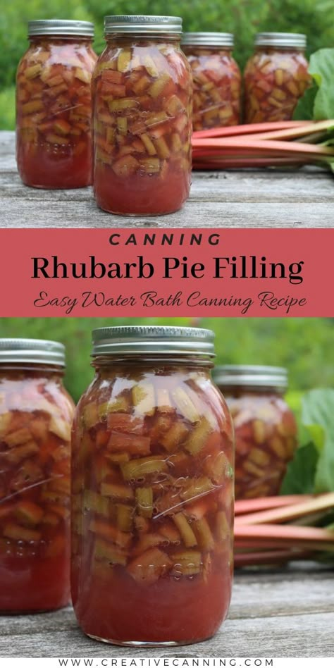 Canning Rhubarb Pie Filling Rhubarb Canning Recipes Pie Fillings, Rhubarb Pie Filling Canning, Canned Rhubarb Pie Filling, Canning Strawberry Rhubarb Pie Filling, Canning Rhubarb Recipes, Canning Pie Filling Recipes, Rhubarb Canning Recipes, Canning Rhubarb, Pie Filling Canning