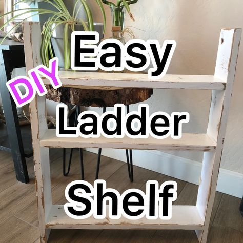 Homemade Ladder Shelf, Diy Leaning Ladder Shelf, How To Build A Ladder Shelf, Diy Ladder Shelf Bathroom, Mini Ladder Shelf, Diy Small Ladder Shelf, Diy Ladder Shelf, Cheap Shelves, Leaning Ladder Shelf