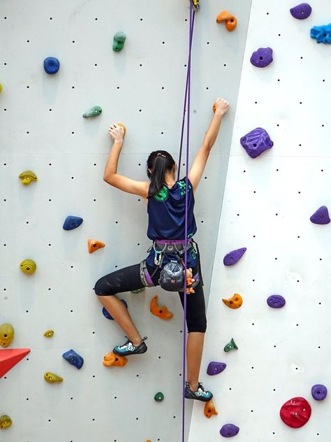 colourful jumpsuit - Climbing Wall Images � Pixabay � Download Free Pictures (11356422) Kids Rock Climbing, Panjat Tebing, Rock Climbing Holds, Free Climb, Indoor Rock Climbing, Climbing Holds, Sport Climbing, Rock Climbing Wall, Climbing Rope