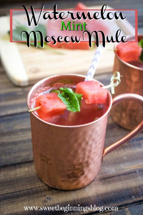 Watermelon And Mint, Watermelon Mint Salad, Watermelon Mint Lemonade, Mint Lemonade Recipe, Mint Margarita, Alcohol Beverages, Moscow Mule Recipe, Mint Simple Syrup, Friends Recipes