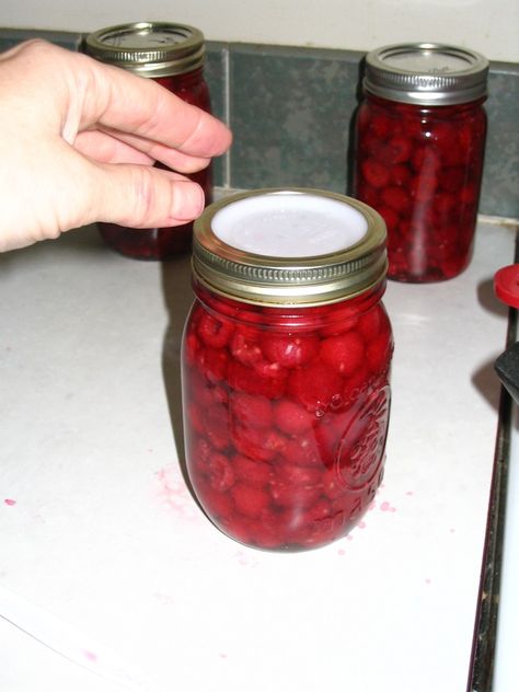 Canning Raspberries, Canning Berries, Rasberry Recipes, Toasted Teacakes, Meat Canning, Freezing Recipes, Water Bath Canning Recipes, Canning 101, Canning Fruit