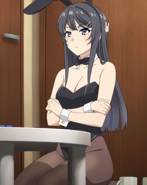 Rascal Does Not Dream, Bunny Girl Senpai, The End Of An Era, Mai Sakurajima, End Of An Era, Bunny Girl