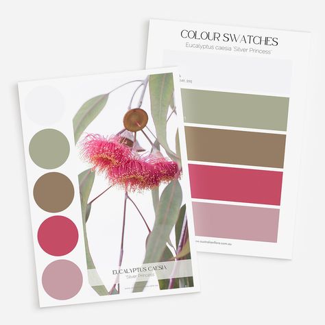 Protea Colour Palette Color Schemes, Australian Color Palette, Botanical Colour Palette, Australian Colour Palette, Australian Colours, Outside House Colors, Australian Nature, Tea Lounge, Christmas Color Palette