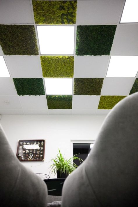 As the popularity of this tactile material continues to grow, we wanted to take the trend one step further and are delighted to announce that we now offer moss ceiling installation.

Find out everything you need to know about this innovative new product here: https://www.benholm.com/moss-ceilings-a-new-way-to-bring-nature-indoors/

#biophilicdesign #biophilia #moss #mosswall #mosswalls #interiordesign #interiordesigner #interiordesigners #officedesign #corporatedesign #officeinspiration Moss Ceiling Design, Moss Ceiling, Moss Walls, Bring Nature Indoors, Dropped Ceiling, Ceiling Installation, Moss Wall, Nature Indoors, Office Inspiration