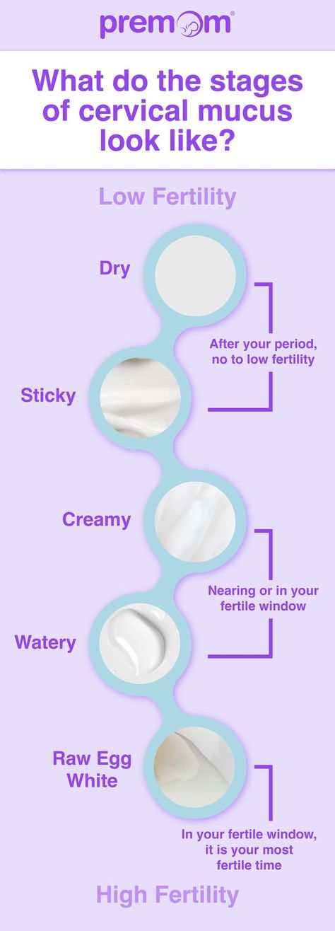 Ovulating Discharge, Cervical Mucus Trying To Conceive, Period Discharge Chart, Discharge Female Chart Before Period, How To Track Ovulation Cycle, Cervical Mucus Cycle, Ovulation Tracking Journal, Cycle Tracking, When To Conceive Calendar