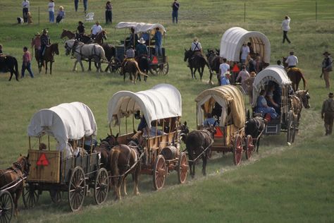 Wagon Trails, Pioneer Trek, Pioneer Day, Wilde Westen, Covered Wagon, Mormon Temple, Oregon Trail, Church History, Horse Drawn