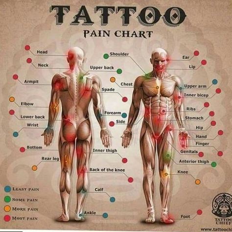 Front Neck Tattoo, Words Tattoo, Pain Chart, Mini Tats, Polynesian Tattoo Designs, Tattoo Trend, Gemini Tattoo, Samoan Tattoo, Chinese Tattoo