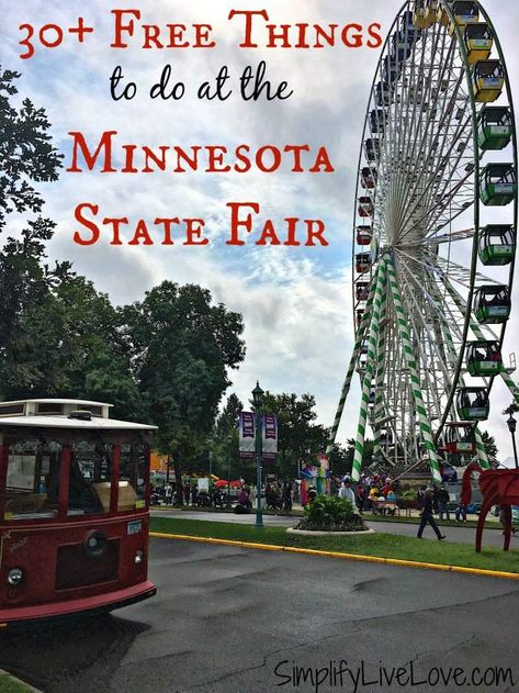 30 Free Things to do at Minnesota State Fair That Your Kids Will Love Mn State Fair, Minnesota State Fair, Family Tour, Wellness Travel, Us Road Trip, Usa Travel Guide, Family Ideas, Vacation Usa, Minnesota State