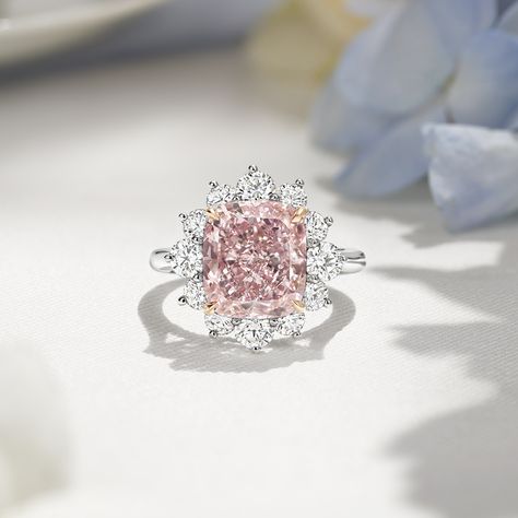 Harry Winston Ring, Pink Diamond Wedding Rings, Fancy Pink Diamond Ring, Harry Winston Engagement, Harry Winston Jewelry, Pink Diamonds Engagement, Pink Diamond Engagement Ring, Cup Of, Pink Engagement Ring