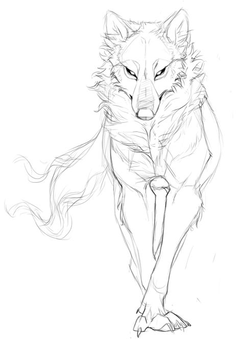 Another wolf sketch! It’s been a while, hasn’t it? Animal Drawing Inspiration, Drawing Dogs, Wolf Sketch, Couple Drawing, Animal Reference, Výtvarné Reference, Desen Anime, Wolf Drawing, Cutest Animals