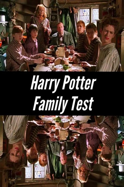 They say some things just run in the family. For instance – kids in some households inherit their old folks’ knack for carpentry or cooking, while other parents raise their children to be conniving little backstabbers who bully orphans. Have you ever stopped and thought to yourself if you were actually a long-lost member of one of the families in Harry Potter? Harry Potter Parents, Potter Family, Adoption Papers, Just Run, Carpentry, The Family, Adoption, Harry Potter, Parenting