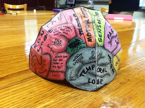 Class making their own Brain Hats Brain Project Ideas, Brain Hat, Brain Project, Hat Printable, Psychology Blog, Corkboard Ideas Decor, Learning Activities For Kids, Elevated Bed, School Psychology